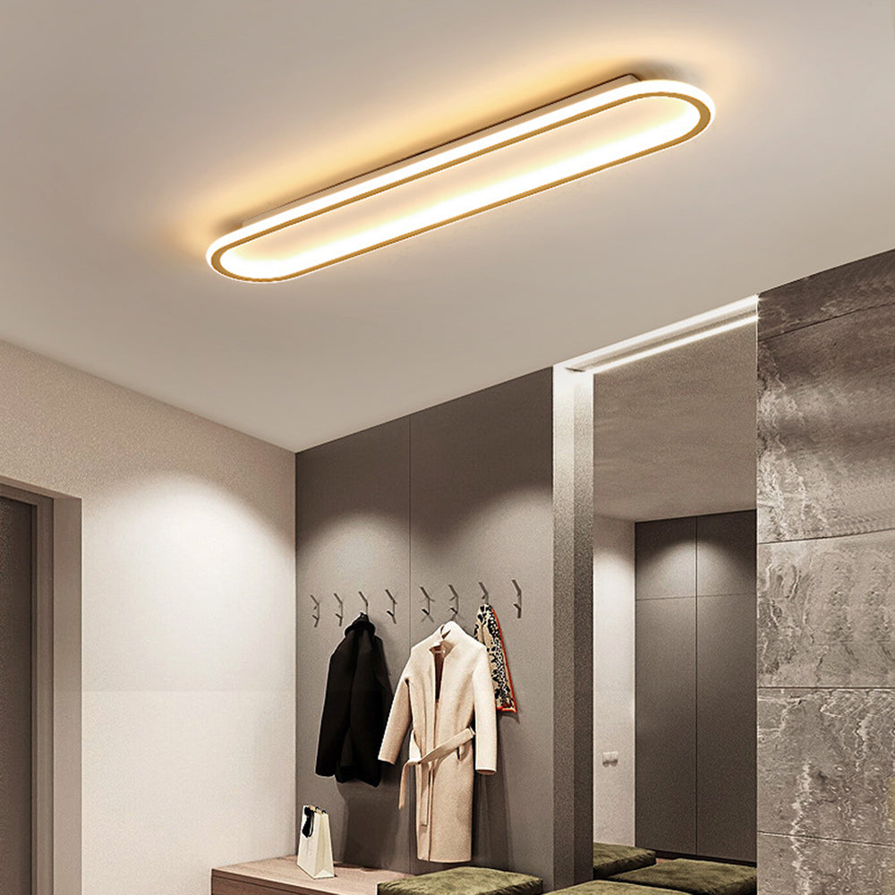 Elliptical LED Ceiling Lamp