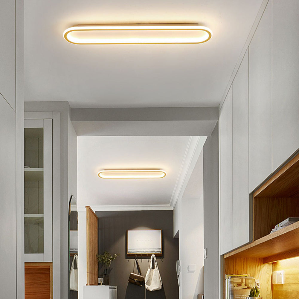 Elliptical LED Ceiling Lamp