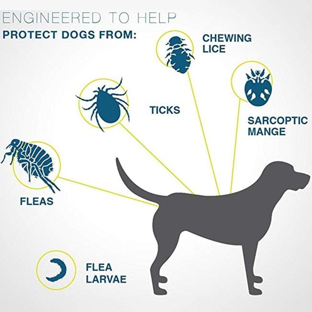 SafeGuard Flea Collar