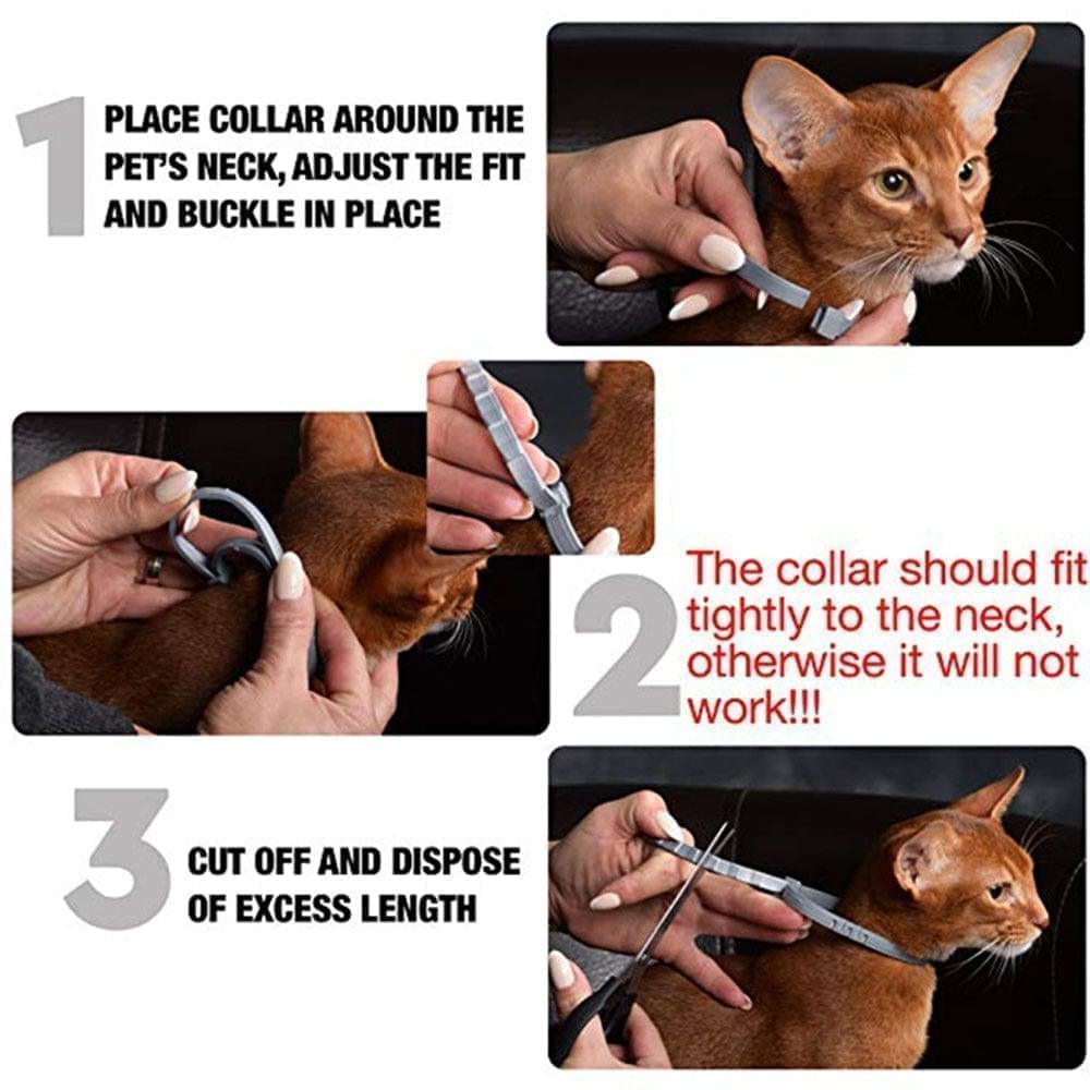 SafeGuard Flea Collar