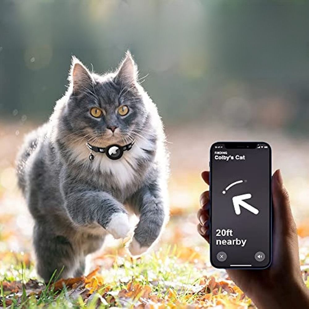 FindPet GPS Cat Collar