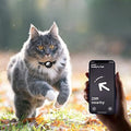 FindPet GPS Cat Collar