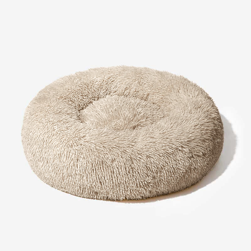 Cloud 9 Orthopedic Dog Bed