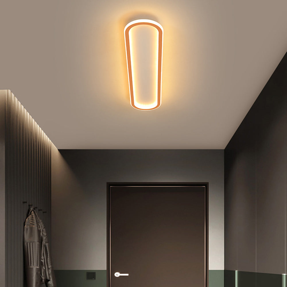 Elliptical LED Ceiling Lamp