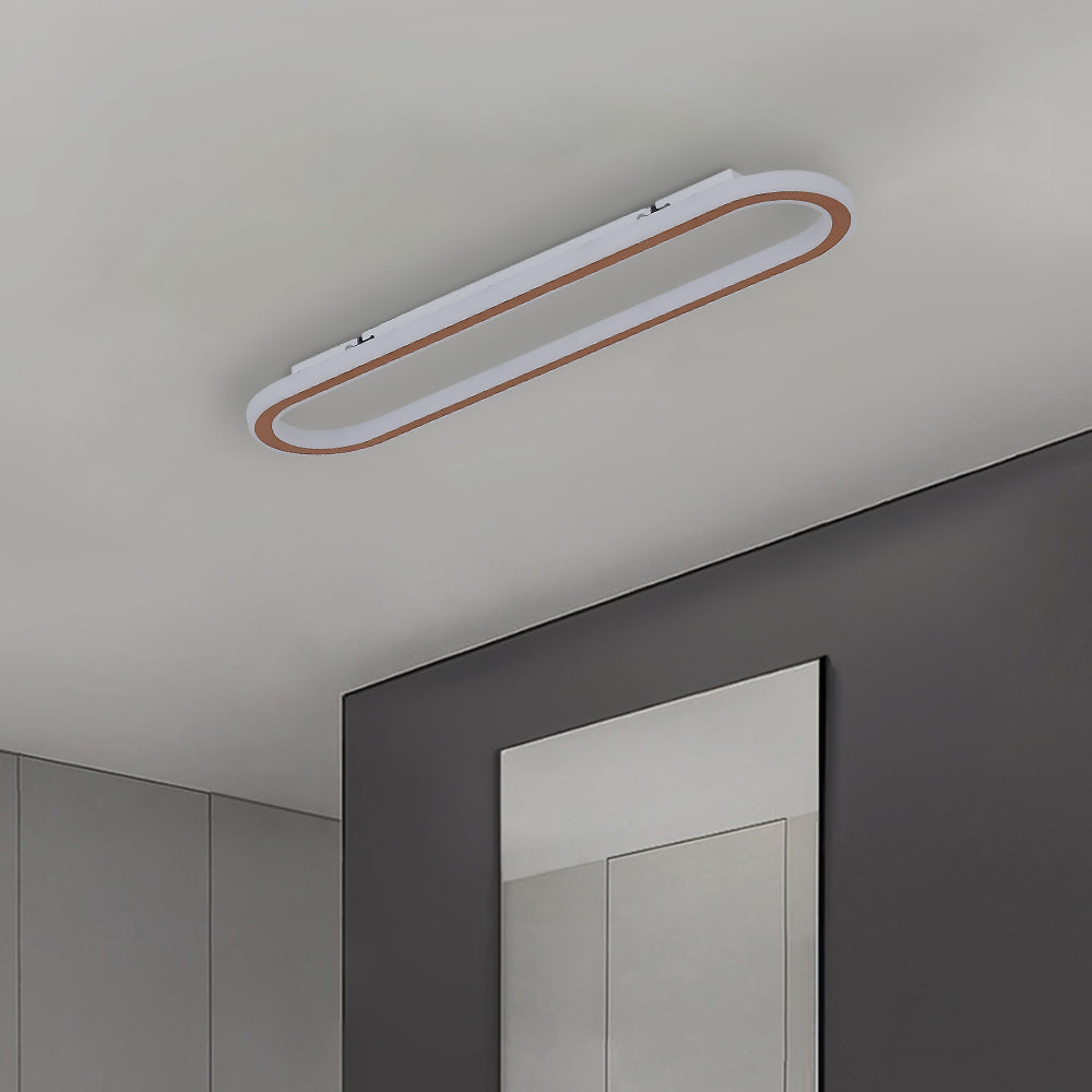 Elliptical LED Ceiling Lamp