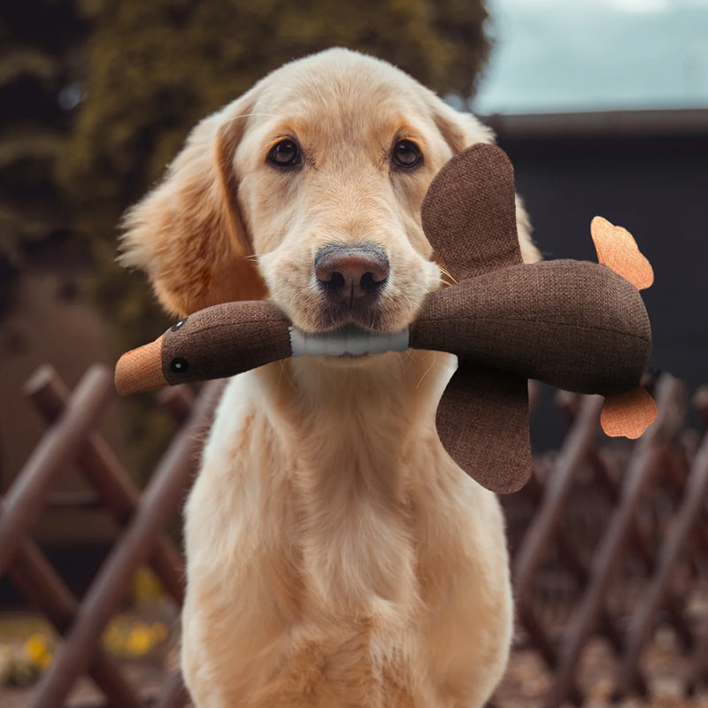 Goose Dog Toy