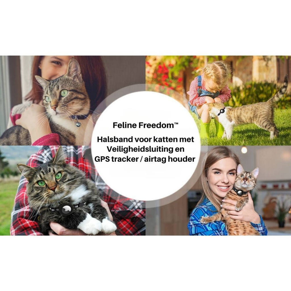 FindPet GPS Cat Collar