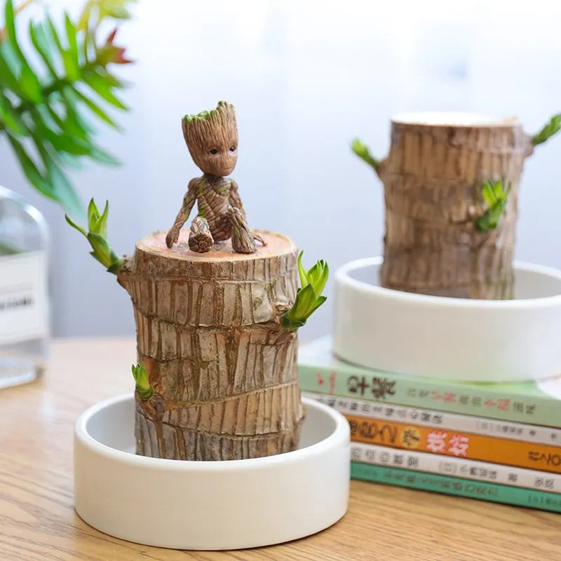 HarmonyWood Indoor Plant