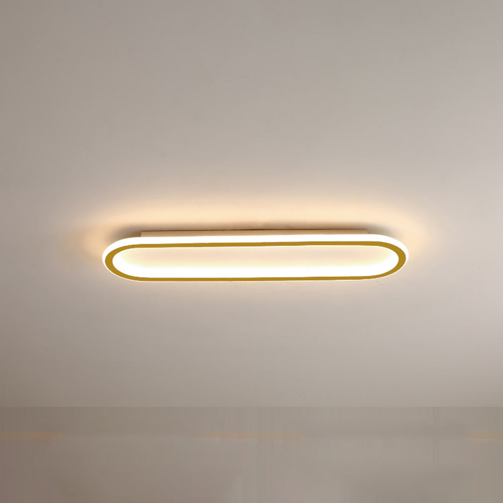 Elliptical LED Ceiling Lamp