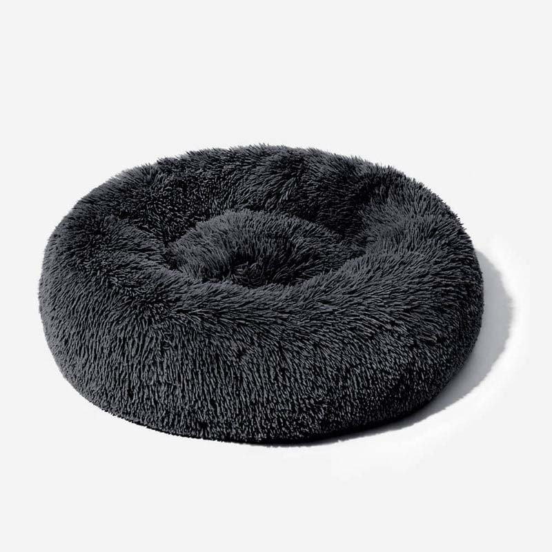 Cloud 9 Orthopedic Dog Bed