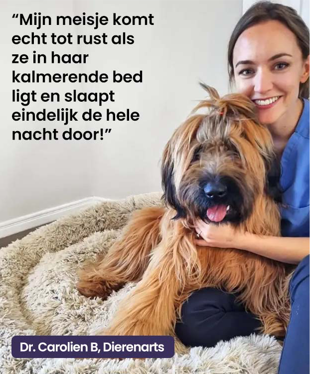 Cloud 9 Orthopedic Dog Bed