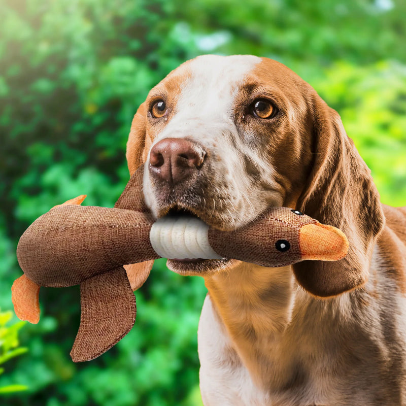 Goose Dog Toy