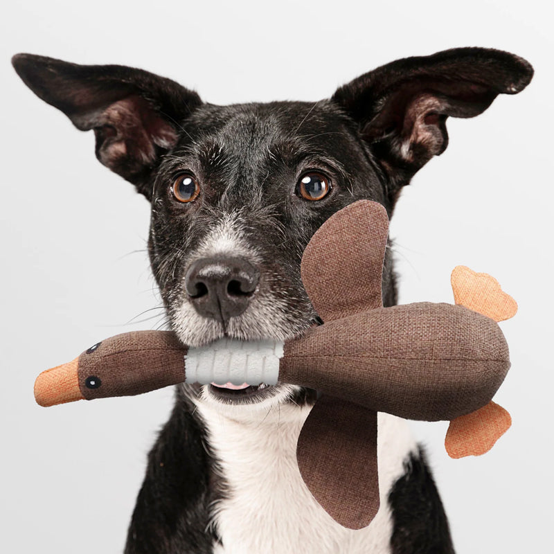 Goose Dog Toy