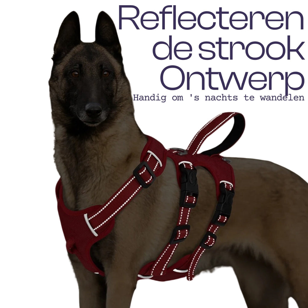 Reflective Dog Harness