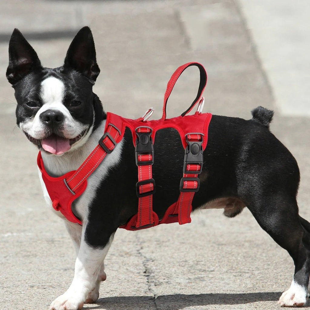 Reflective Dog Harness