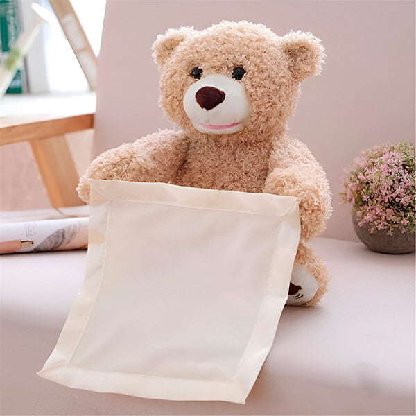 Interactive Teddy Bear