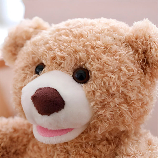 Interactive Teddy Bear