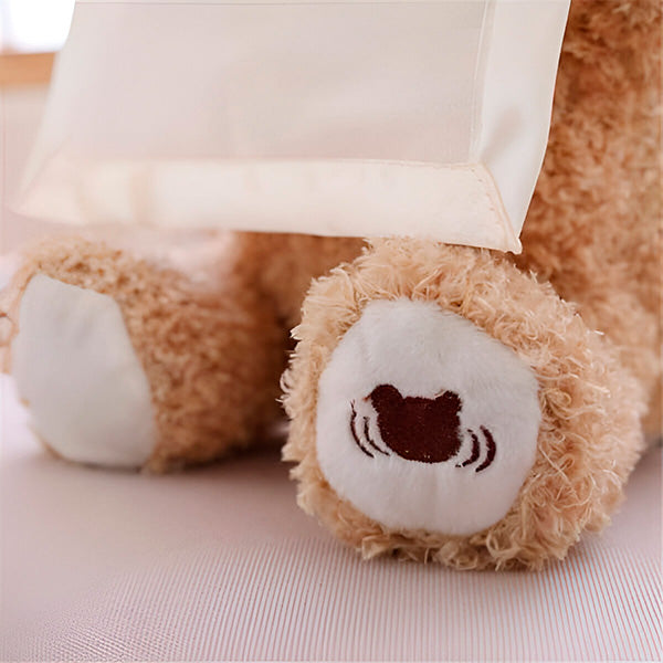 Interactive Teddy Bear