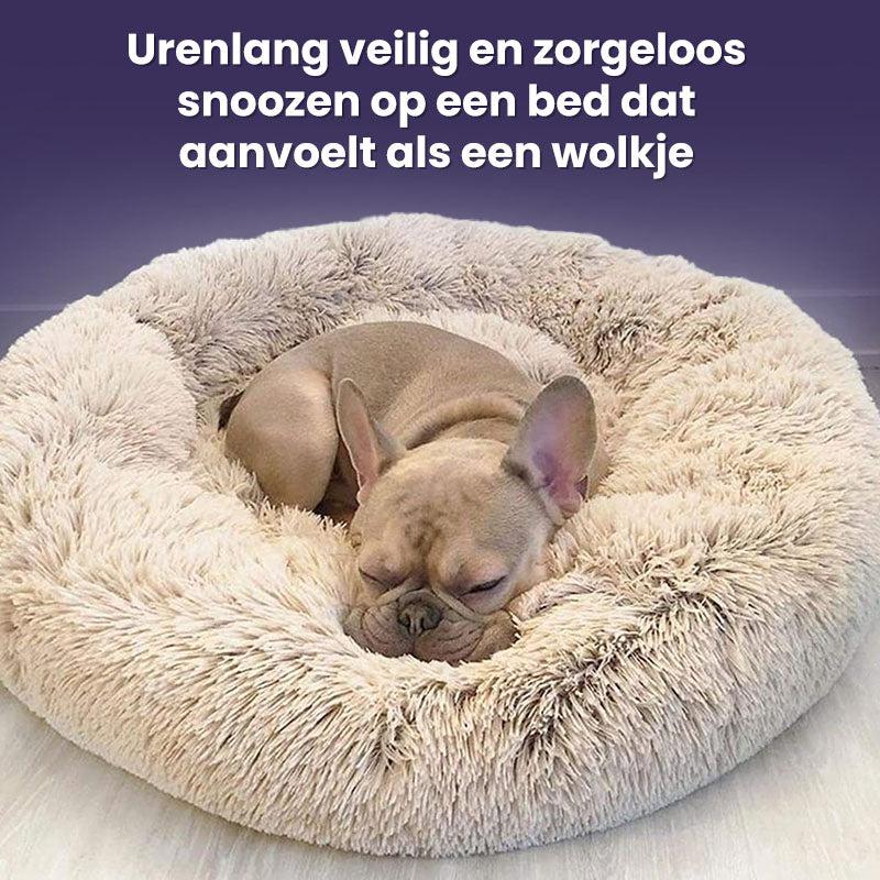 Cloud 9 Orthopedic Dog Bed
