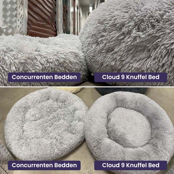 Cloud 9 Orthopedic Dog Bed
