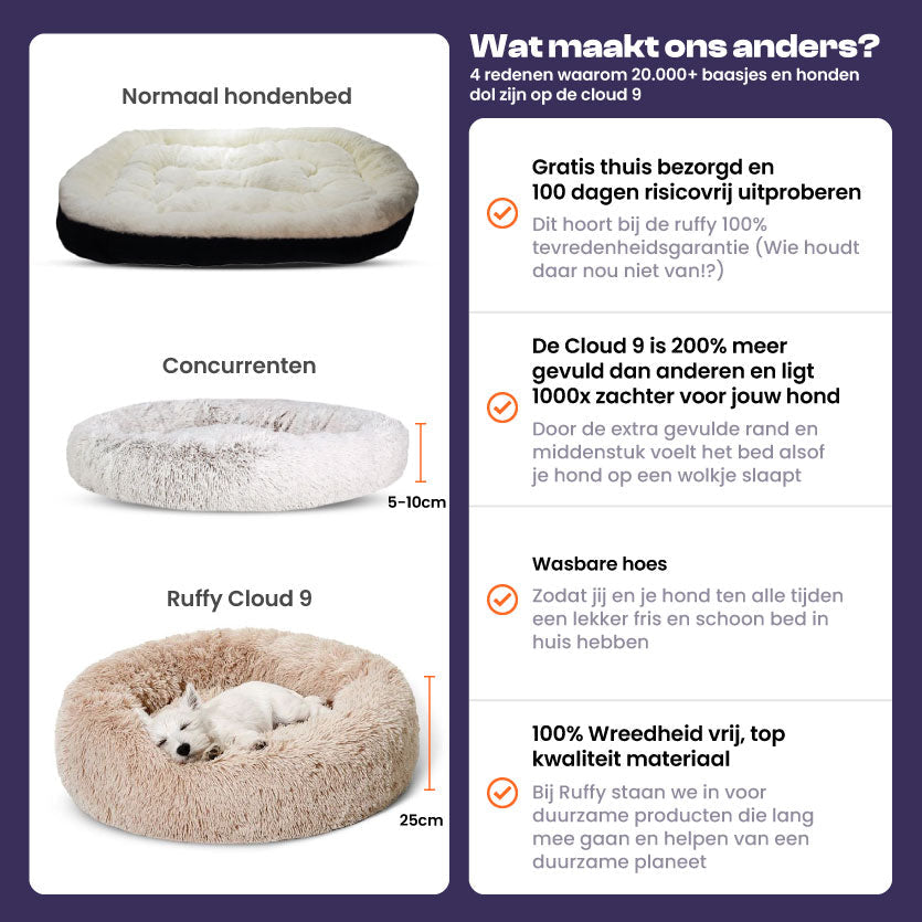 Cloud 9 Orthopedic Dog Bed