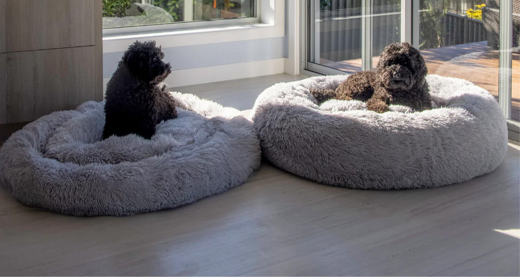 Cloud 9 Orthopedic Dog Bed