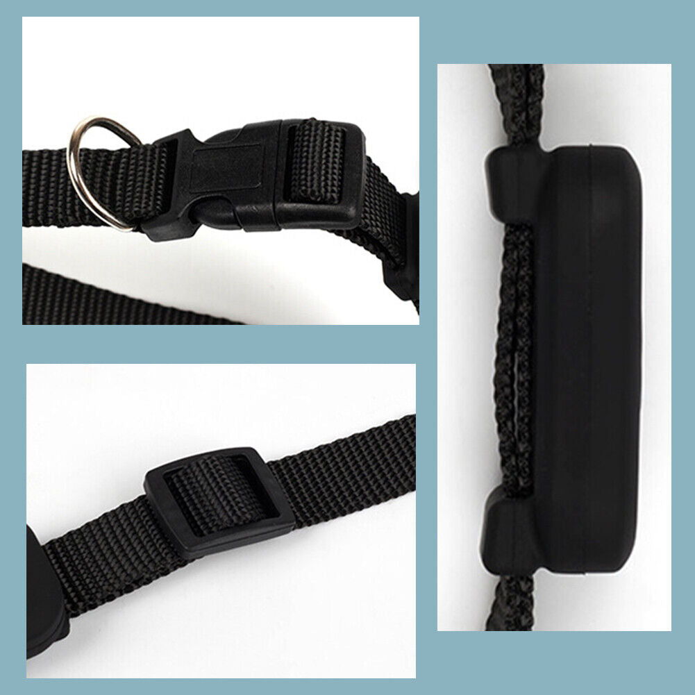 PetTrack GPS Collar