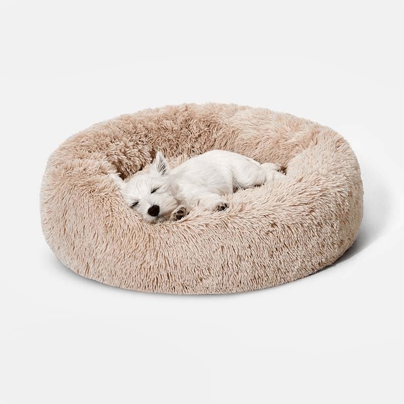 Cloud 9 Orthopedic Dog Bed