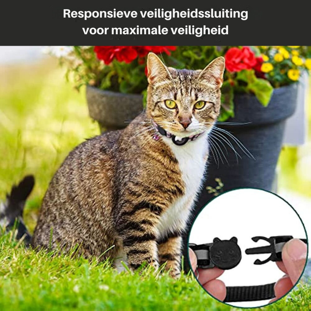 FindPet GPS Cat Collar