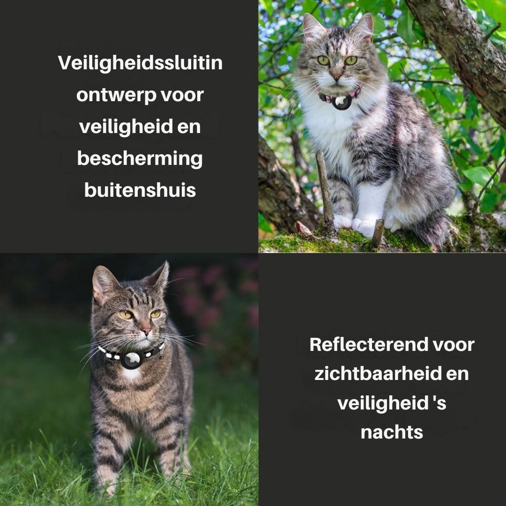 FindPet GPS Cat Collar