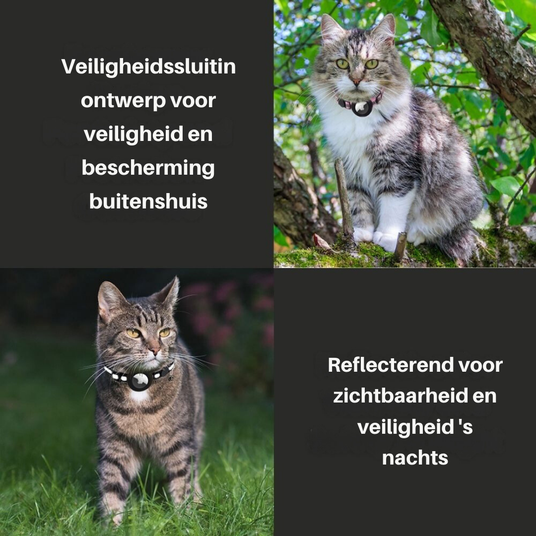 FindPet GPS Cat Collar