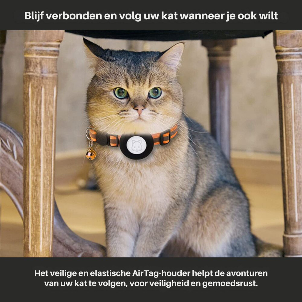 FindPet GPS Cat Collar