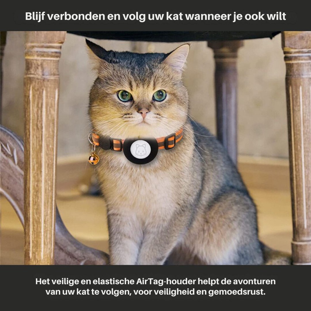 FindPet GPS Cat Collar
