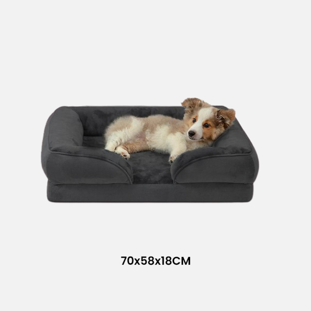 Orthopaedic Dog Bed