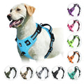Adjustable Dog Harness