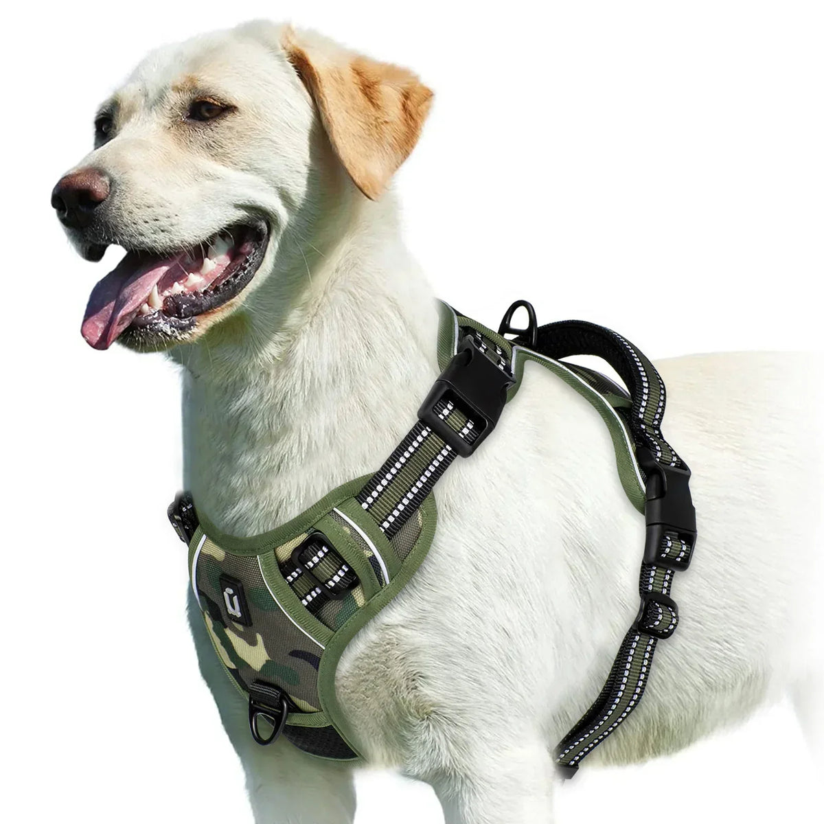 Adjustable Dog Harness