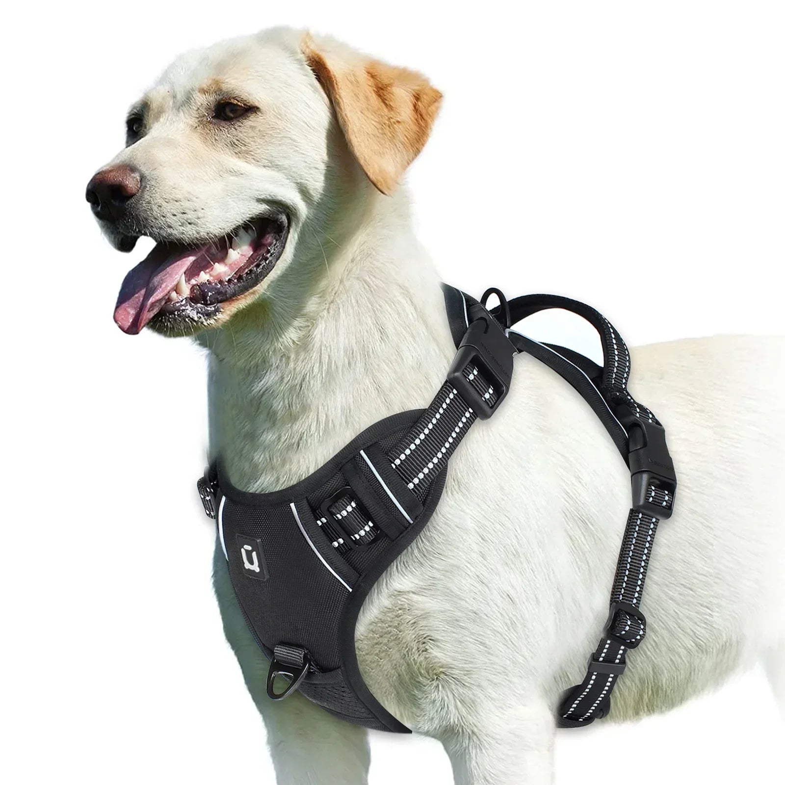 Adjustable Dog Harness