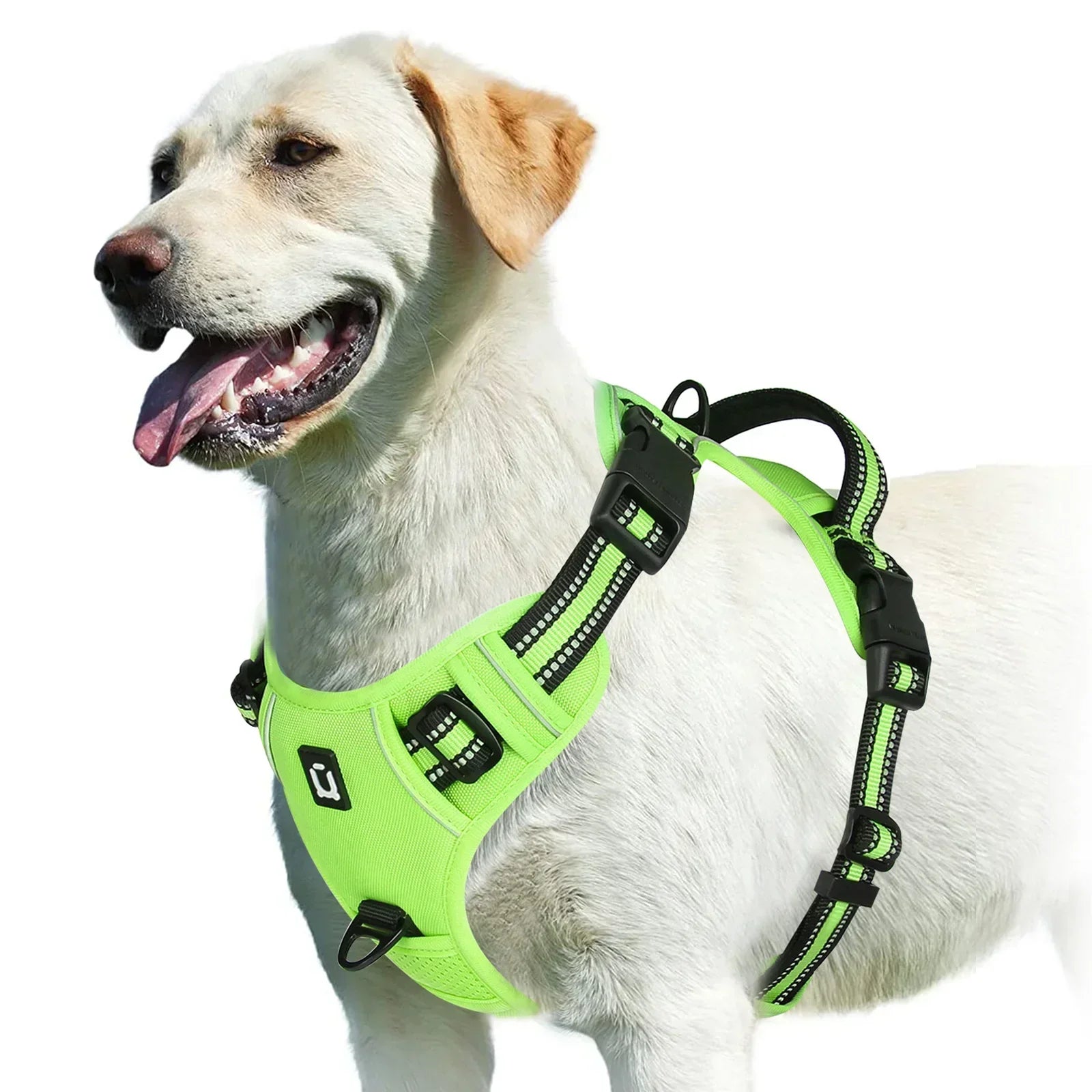 Adjustable Dog Harness