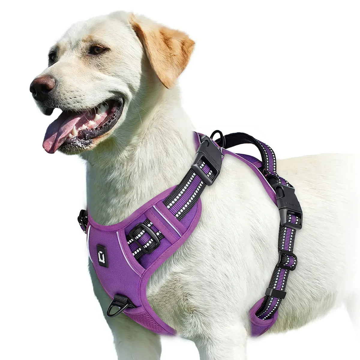 Adjustable Dog Harness