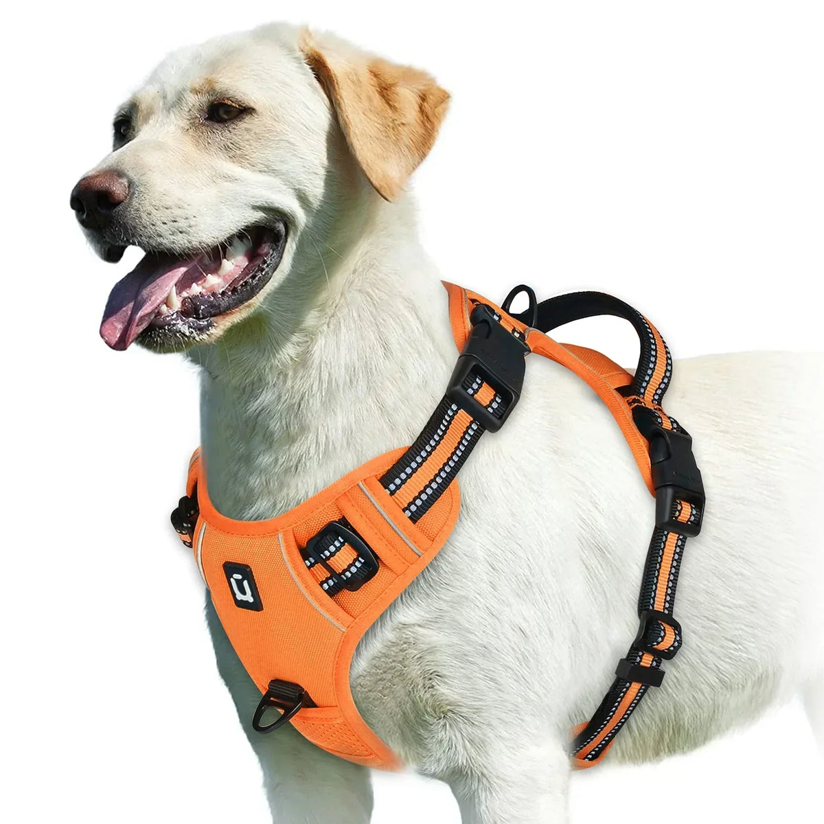 Adjustable Dog Harness