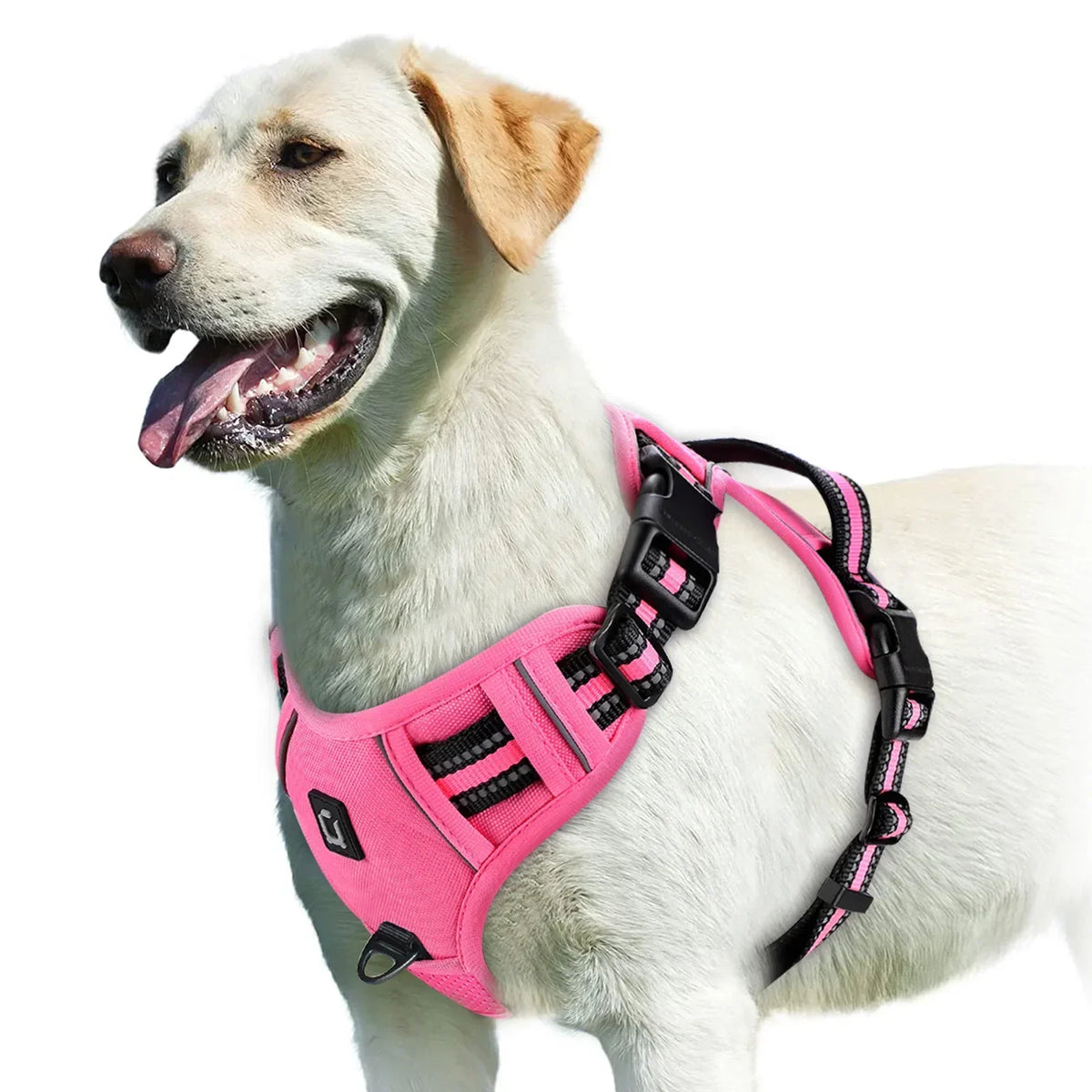 Adjustable Dog Harness