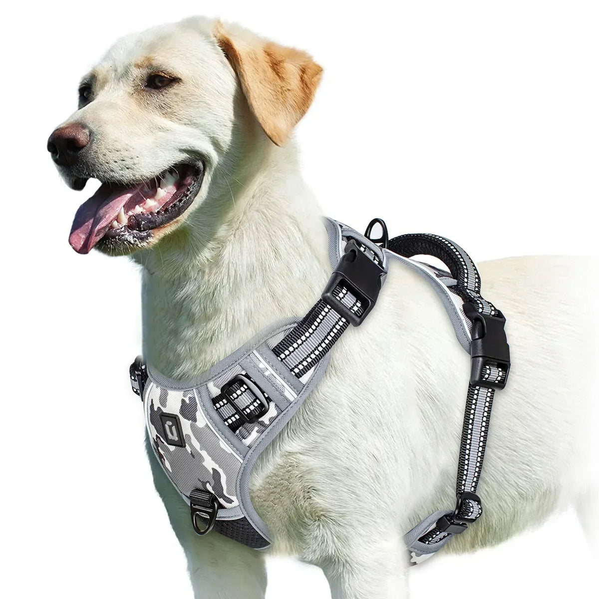 Adjustable Dog Harness