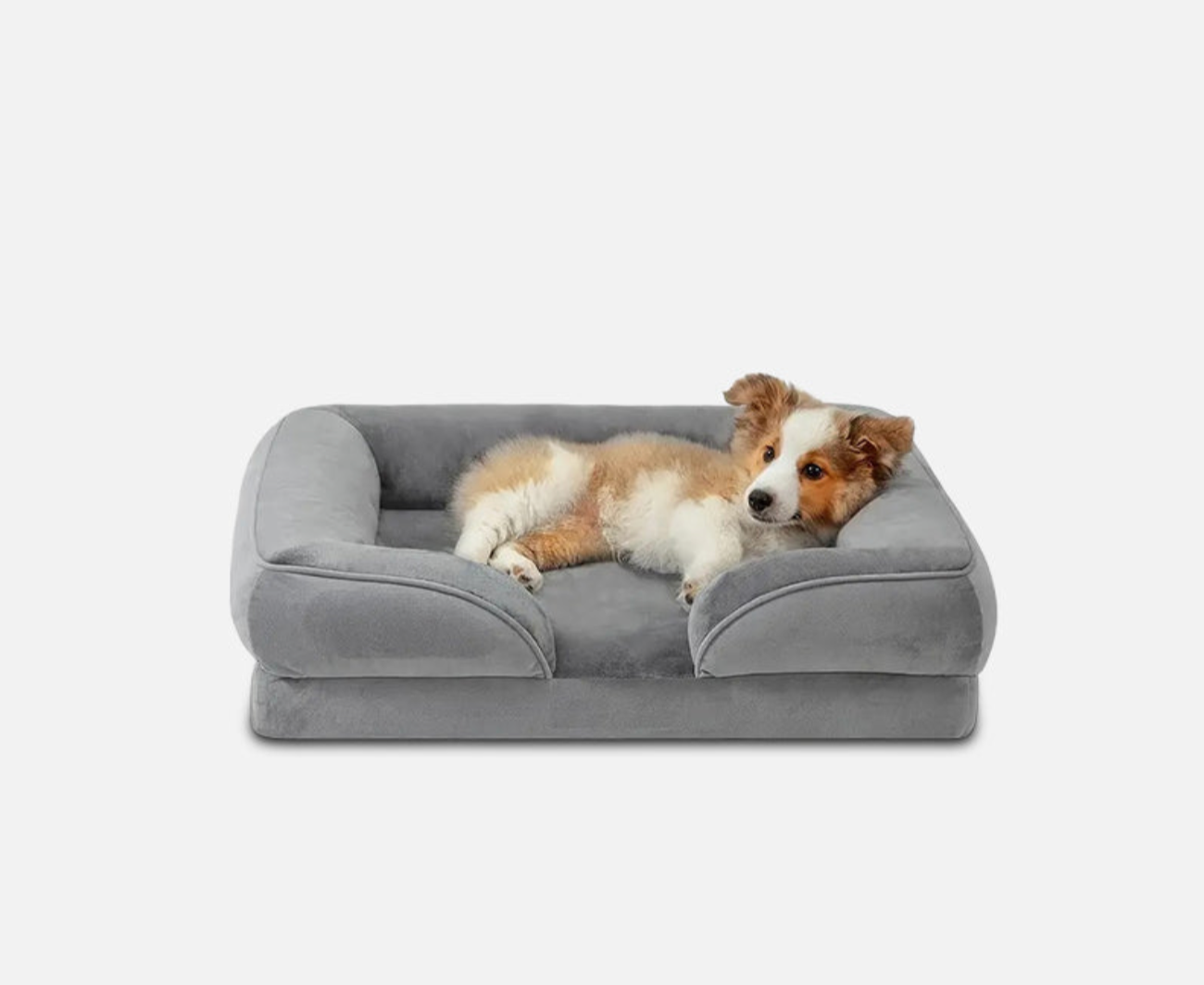 Orthopaedic Dog Bed