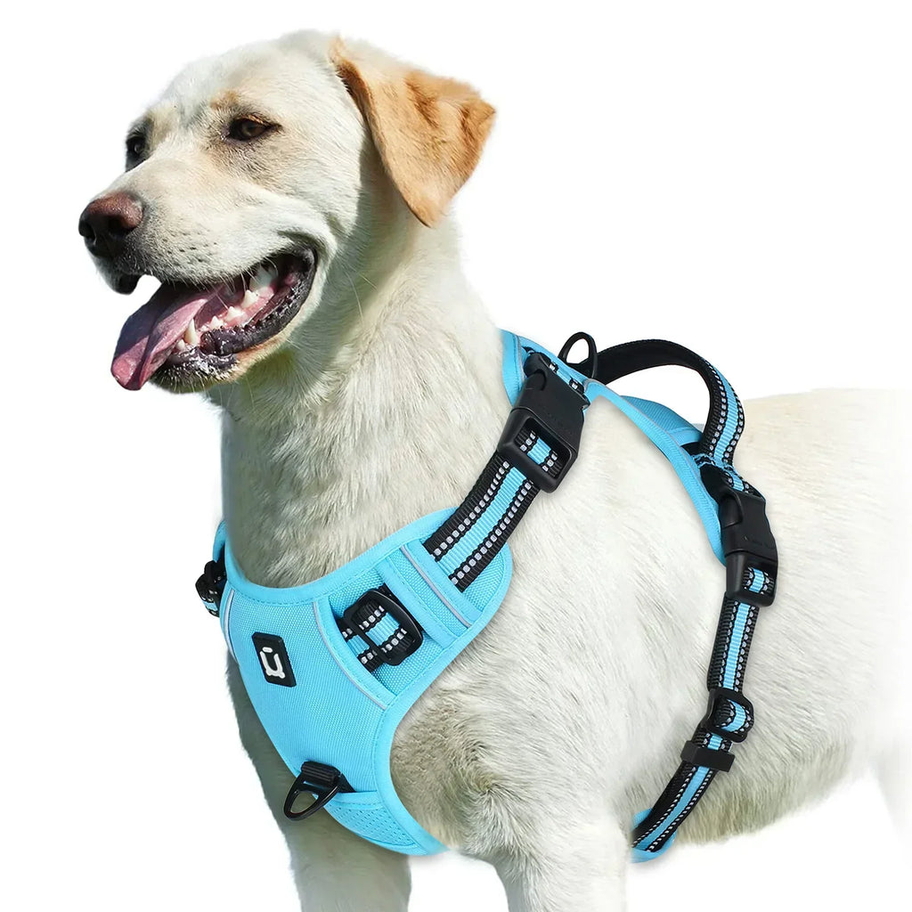 Adjustable Dog Harness