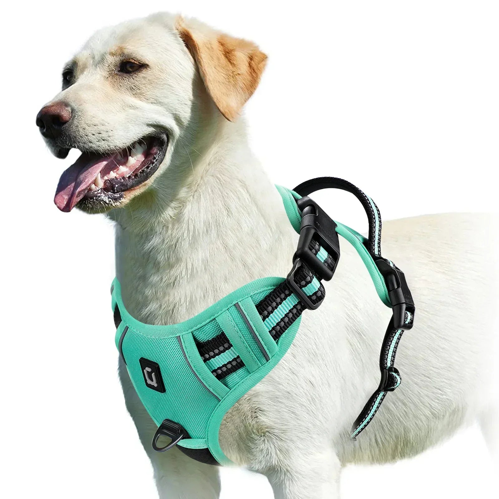 Adjustable Dog Harness
