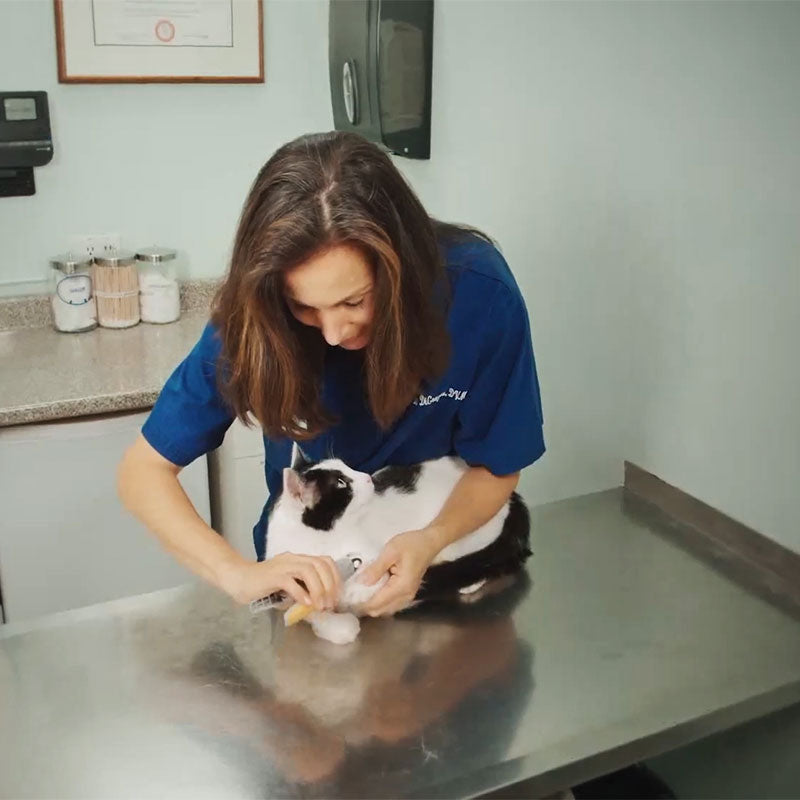 MAXPAWS Dog Nail Clipper