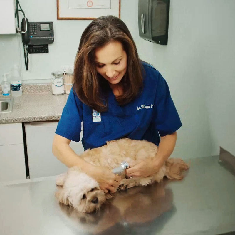 MAXPAWS Dog Nail Clipper