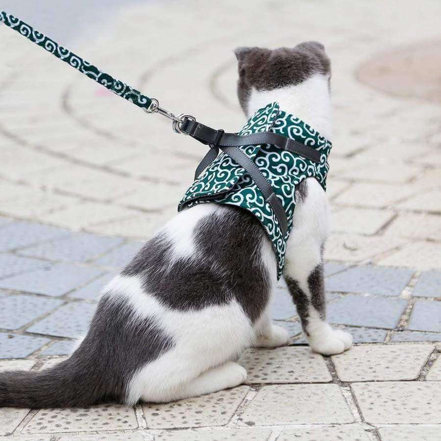 Adjustable Cat Harness Set