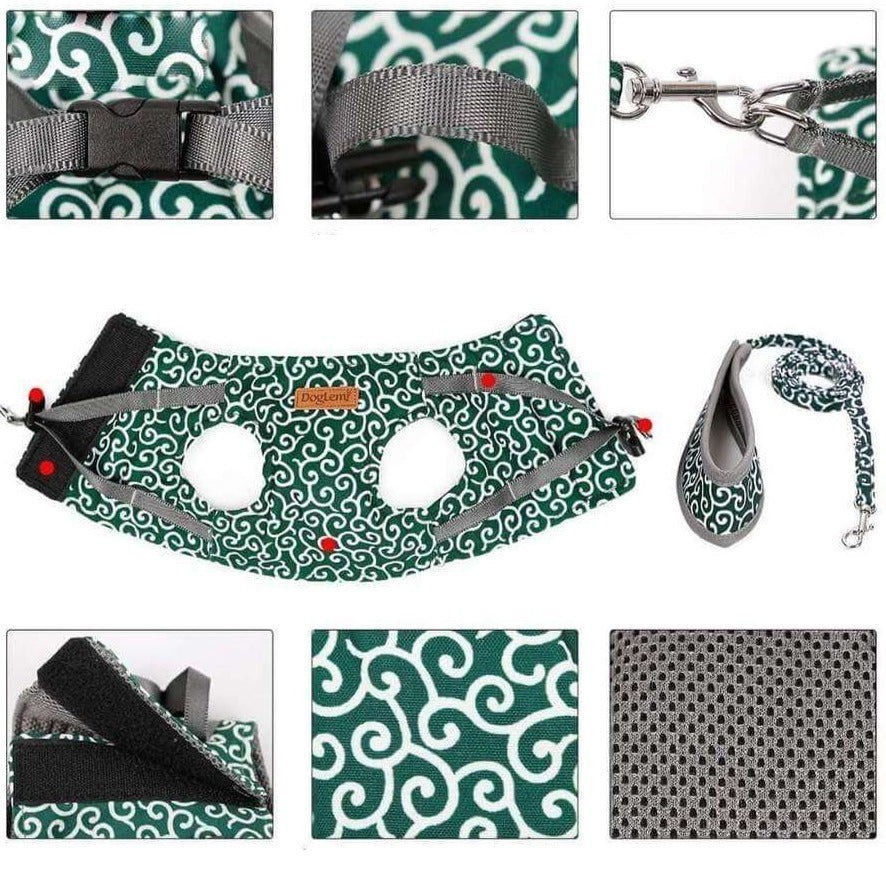 Adjustable Cat Harness Set