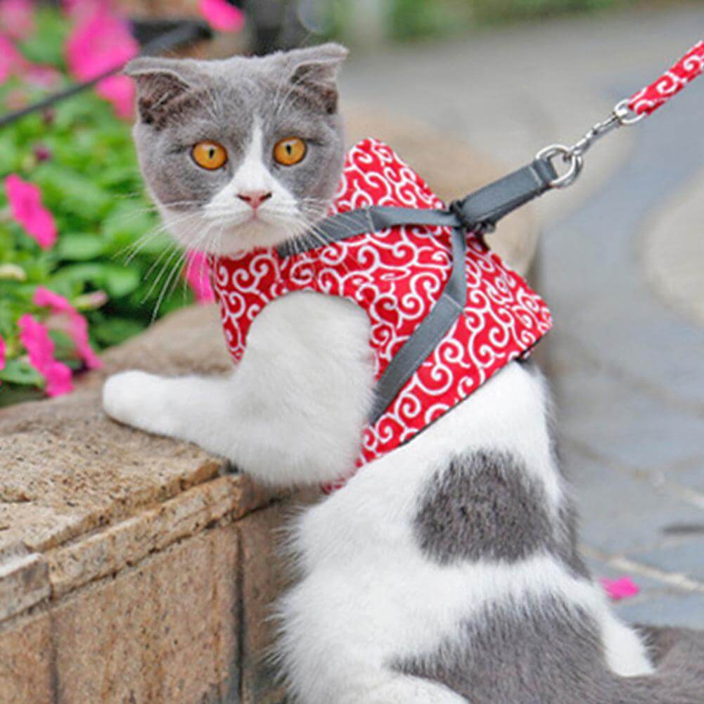 Adjustable Cat Harness Set